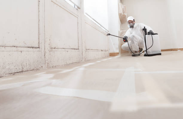 24/7 Emergency Basement Mold Removal experts in Smithmill, PA